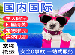 龙嘉航空快运国际宠物托运 【国