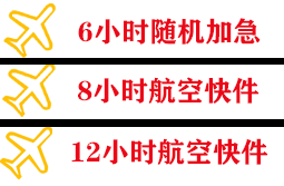 龙嘉航空快运快递公司,专业空运当天件